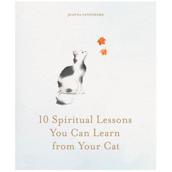 10 Spiritual Lessons You Can Learn From Your Cat