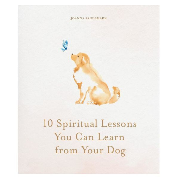 10 Spiritual Lessons You Can Learn From Your Dog