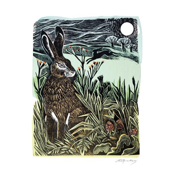 Angela Harding Hidden Hares Cards
