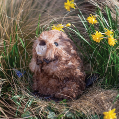 Beaver 'Chester' Medium Plush Toy