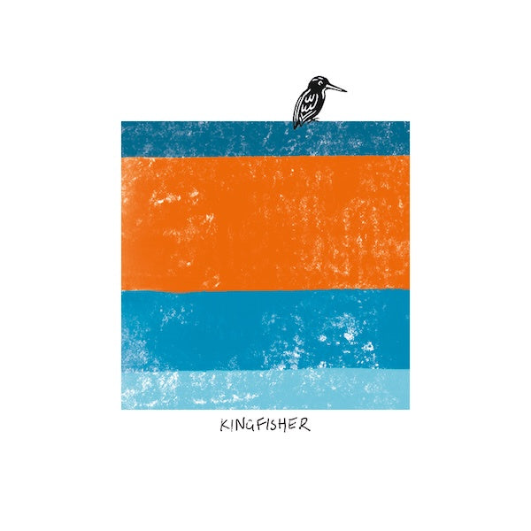 Bird Tone Kingfisher Card