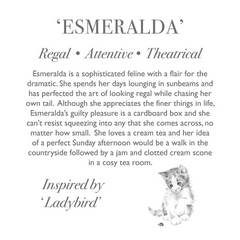 Cat 'Esmeralda' Large Plush Toy