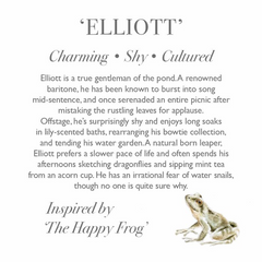 Frog 'Elliott' Medium Plush Toy
