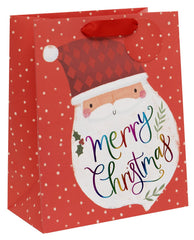 Gift Bag Large Rainbow Santa