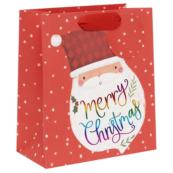 Gift Bag Medium Rainbow Santa