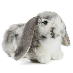 Dutch Lop Eared Rabbit Soft Toy