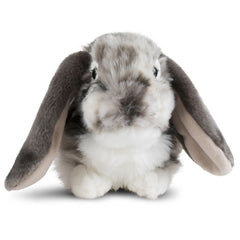 Dutch Lop Eared Rabbit Soft Toy