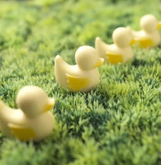 Handmade Chocolate Ducks