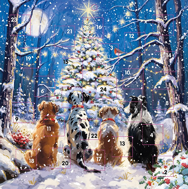 Waiting For Santa Advent Calendar