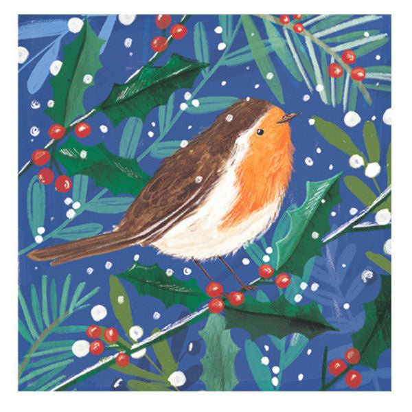 Christmas Robins Christmas Card Pack