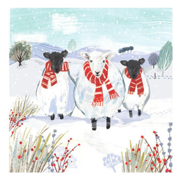 Festive Friends Sheep Christmas Card Pack