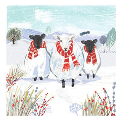 Festive Friends Sheep Christmas Card Pack