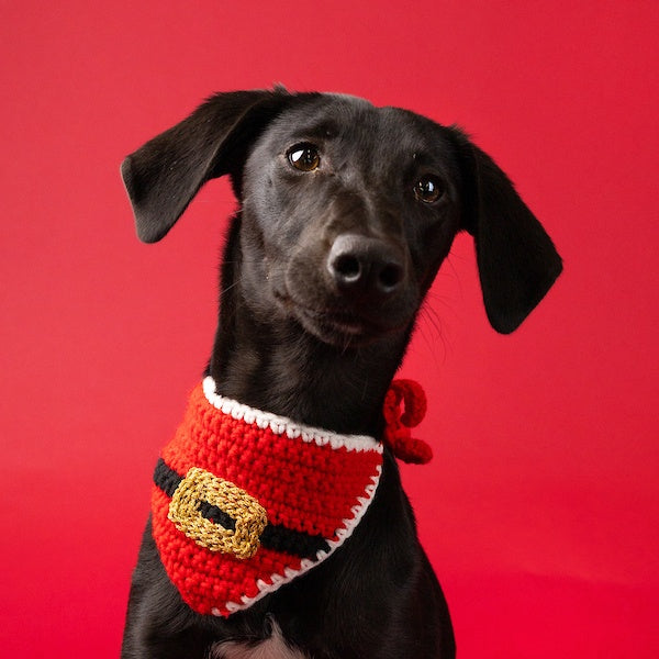 Pet Santa Crochet Bandana