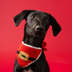 Pet Santa Crochet Bandana