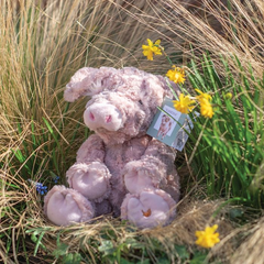 Pig 'Vanessa' Medium Plush Toy