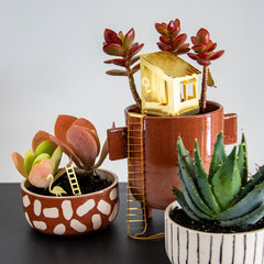Tiny Treehouse for Plants