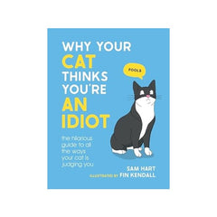 Why Your Cat Thinks You're An Idiot