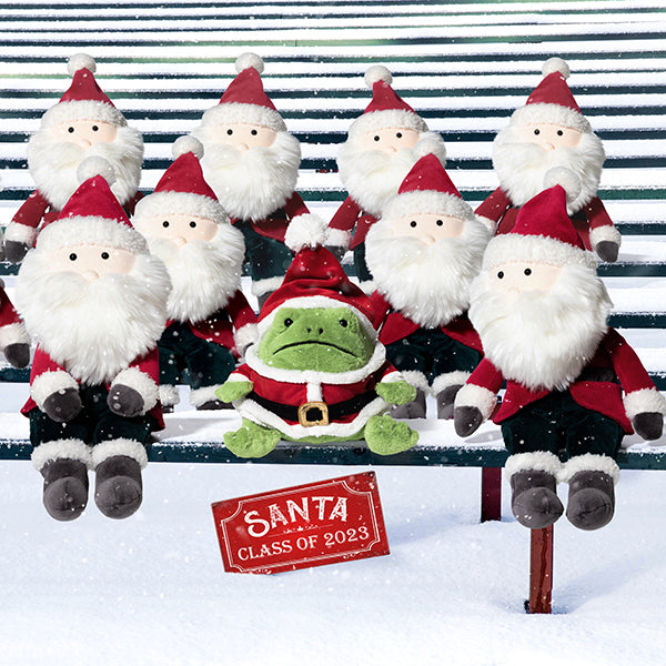 Jellycat Santa Ricky Rain Frog - Paper Tiger