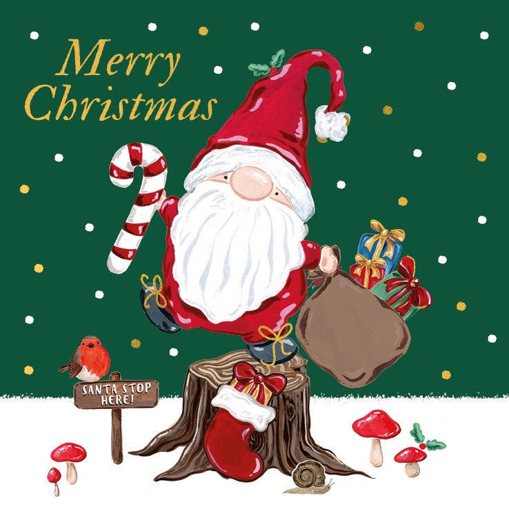 Merry Christmas Gnome Charity Card Pack Young Lives