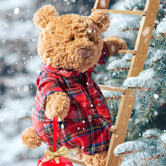 Bartholomew Bear Bedtime