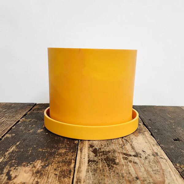 Orange Pot & Saucer Set