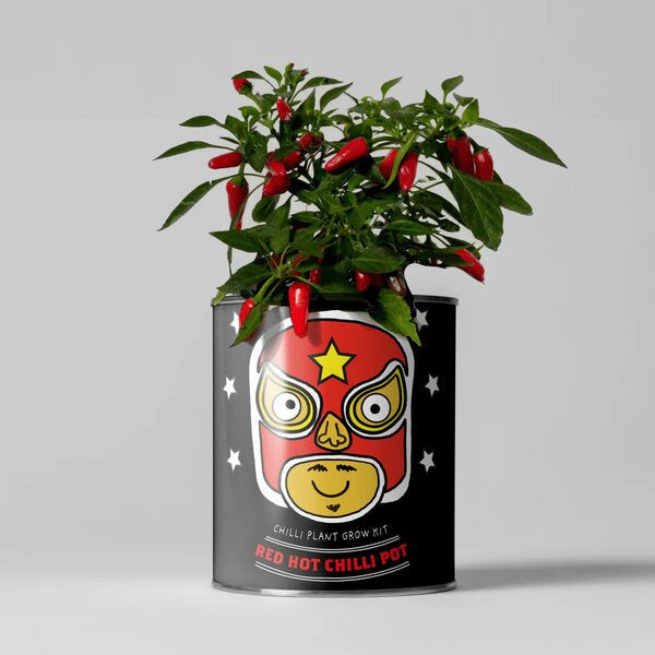 Red Hot Chilli Pot Grow Your Chilli Plant Kit