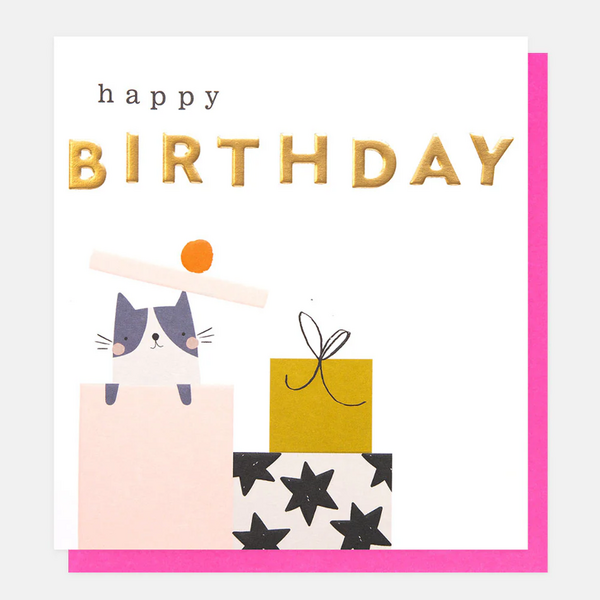 Happy Birthday Cat & Presents Card - Paper Tiger