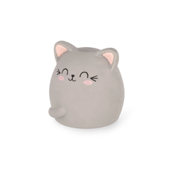 Cat Eraser