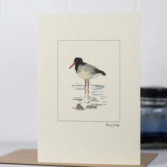 Oyster Catcher Card