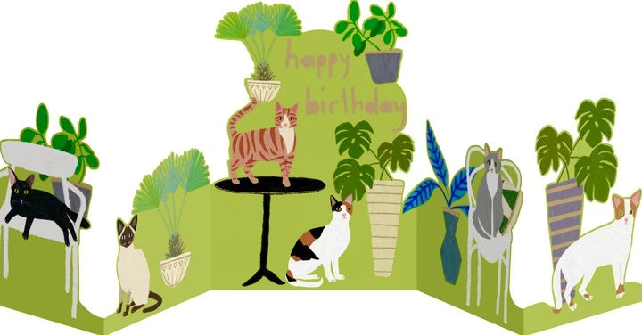 Cat Palais Concertina Birthday Card