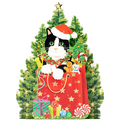 Christmas Cat Advent Calendar