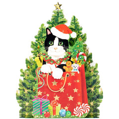 Christmas Cat Advent Calendar