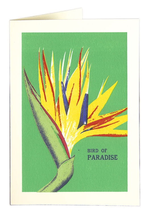 Bird of Paradise Card