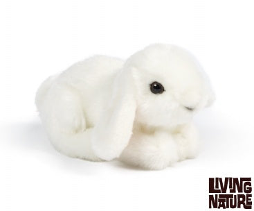 Small Lop Eared Bunny Soft Toy