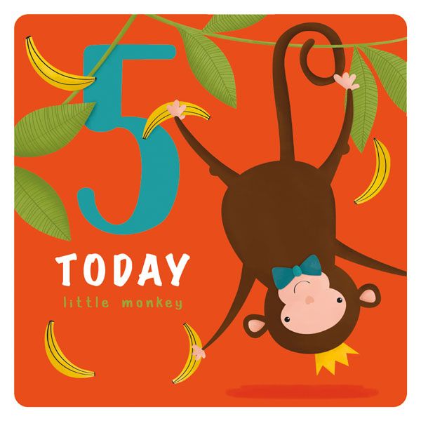 Age 5 Little Monkey Birthday Card