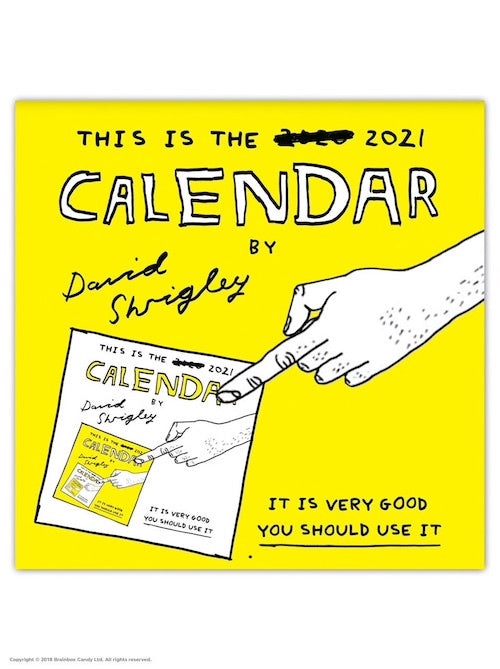 David Shrigley 2021 Calendar