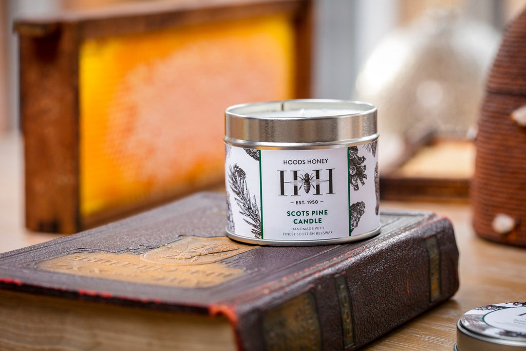 Scots Pine Beeswax Tin Candle