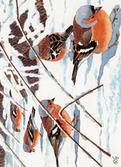 Chaffinches In The Snow Pack of Cards