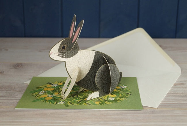 Pop-Out Pets Rabbit Card
