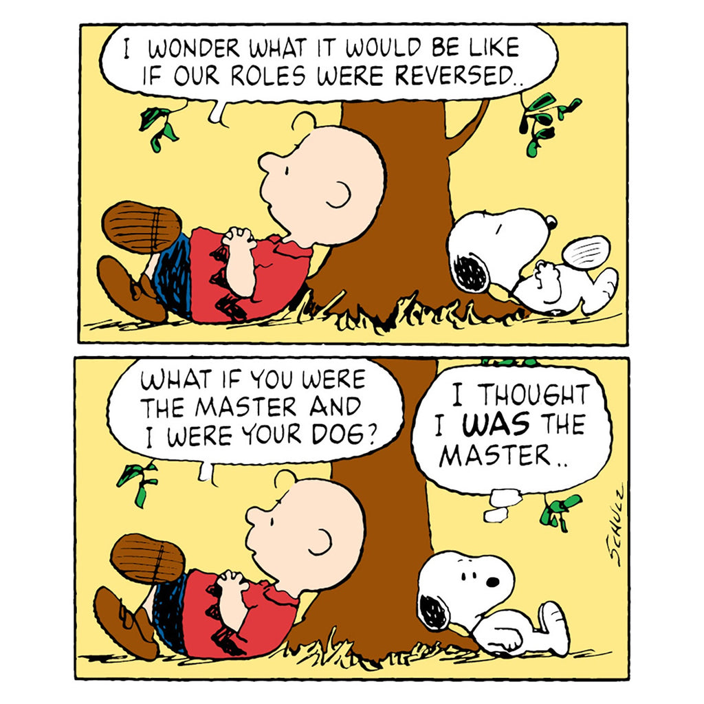 Snoopy and Charlie Brown Role Reversal Card
