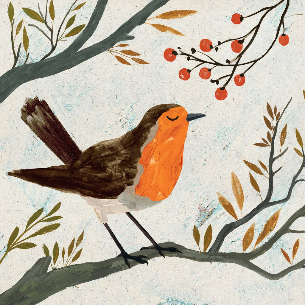 Christmas Robin RSPB Charity Pack of Cards