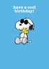 Have a Cool Birthday Snoopy Card