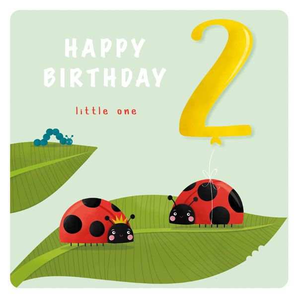 Age 2 Happy Birthday Little one Ladybird Card