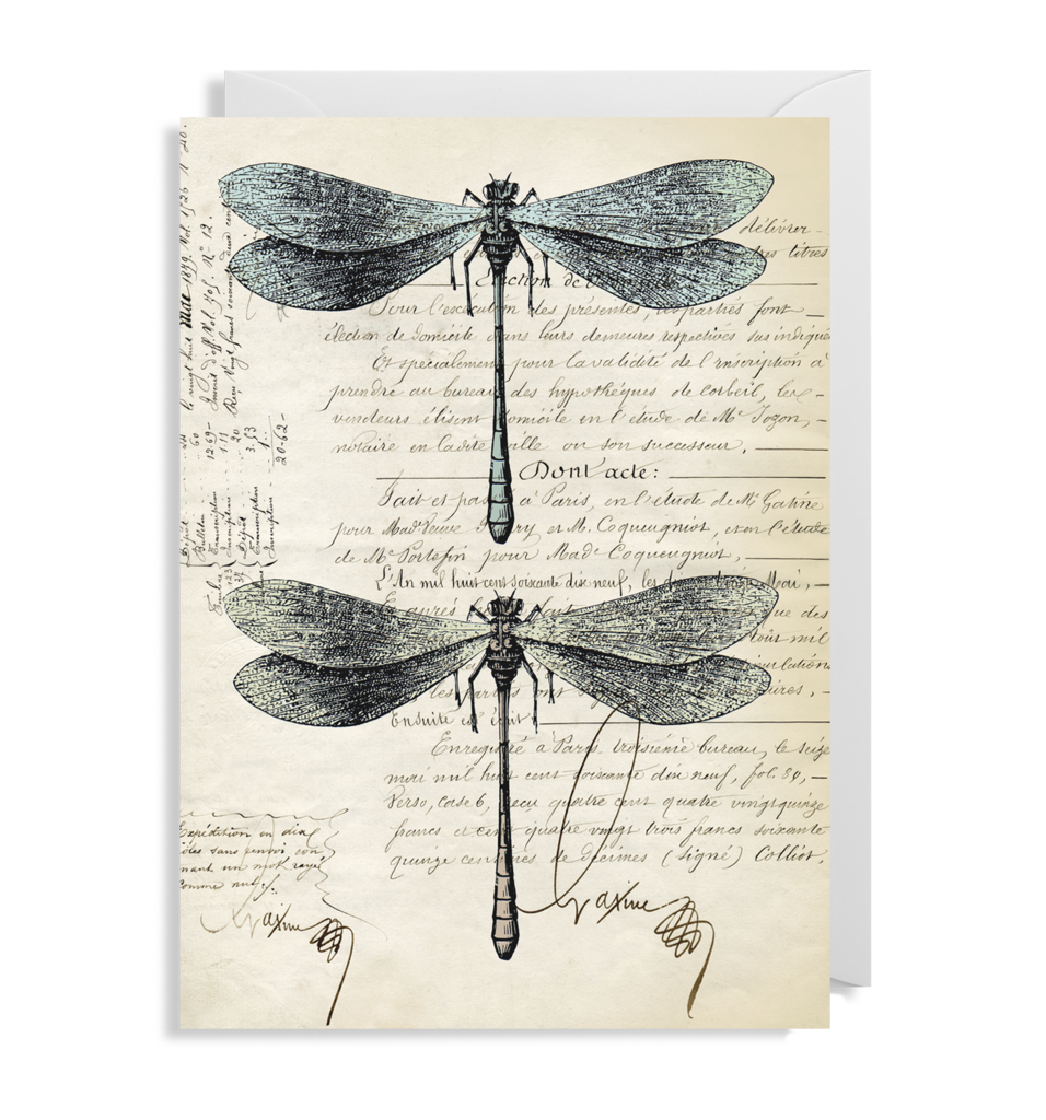 Two Dragonflies Card