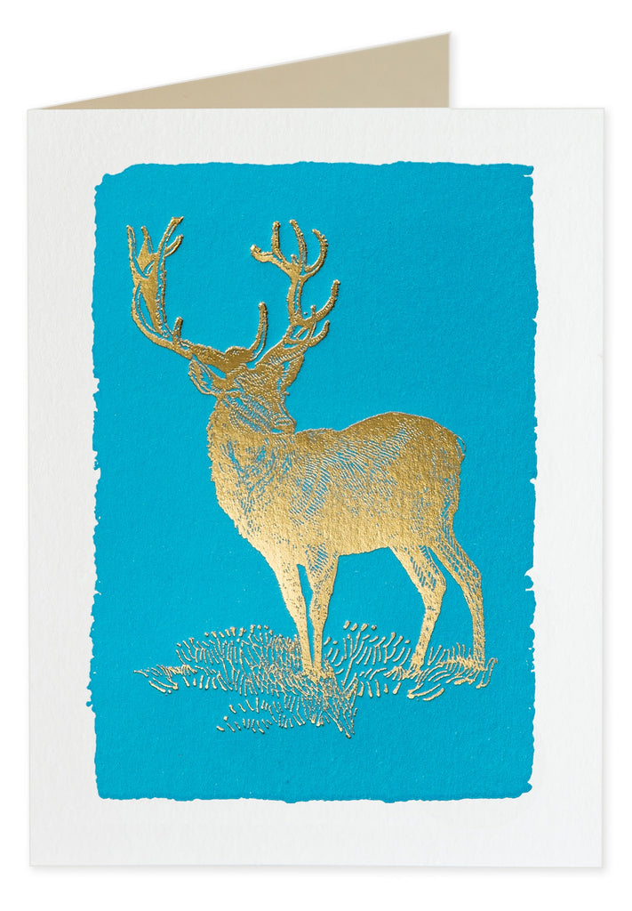 Foiled Deer on Blue Pack of 5 Christmas Cards