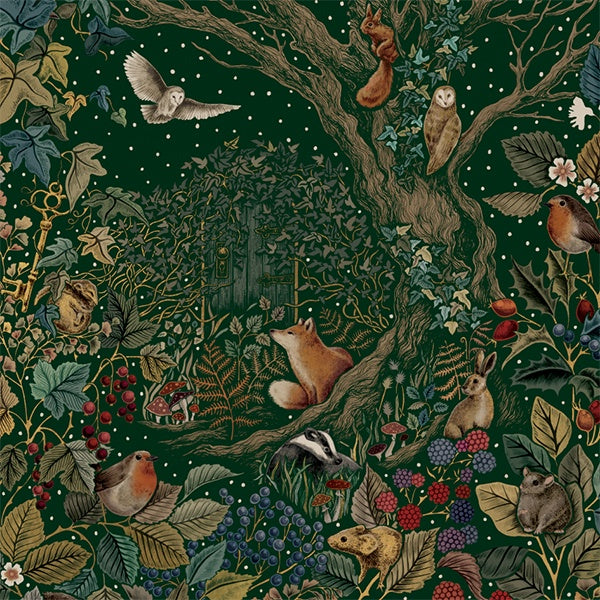 Foiled Woodland Creatures Luxury Box of 8 Cards