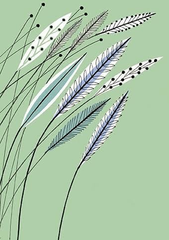 Meadow Print Card