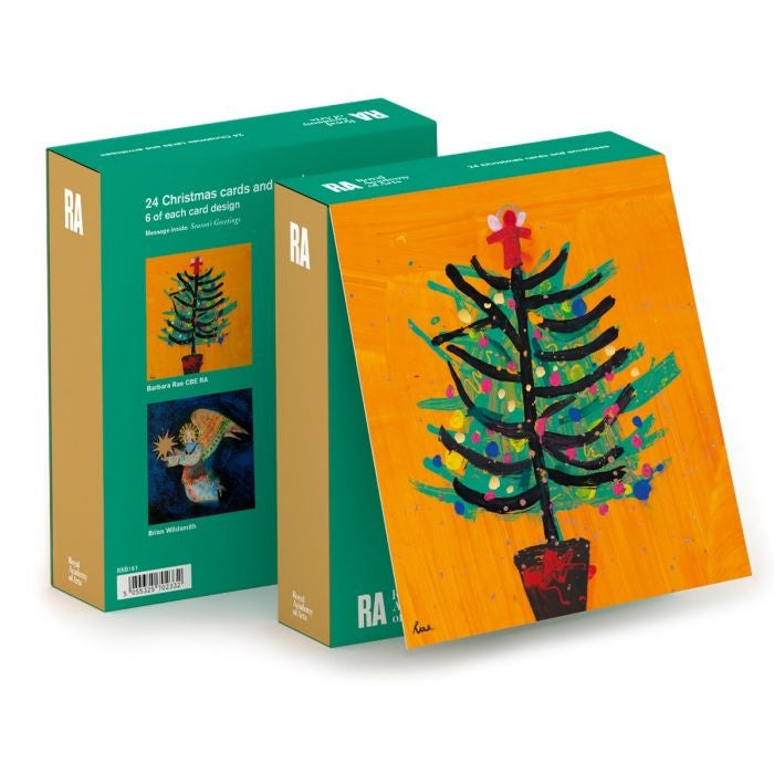 Barbara Rae 10 Christmas Cards Box