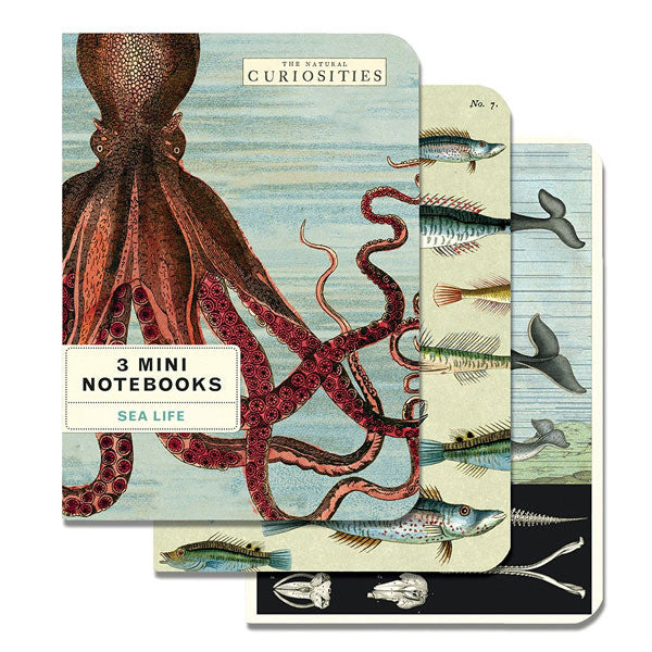 Sea Life Set of 3 Mini Notebooks