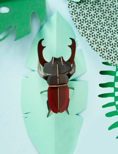 Stag Beetle Decoration